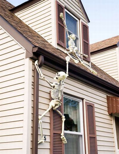 climbing_skeletons.jpg