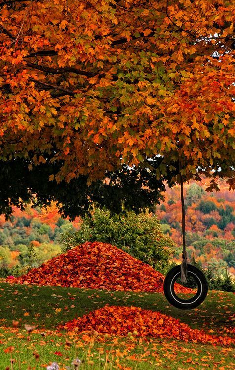 Herbstlandschaft.jpg