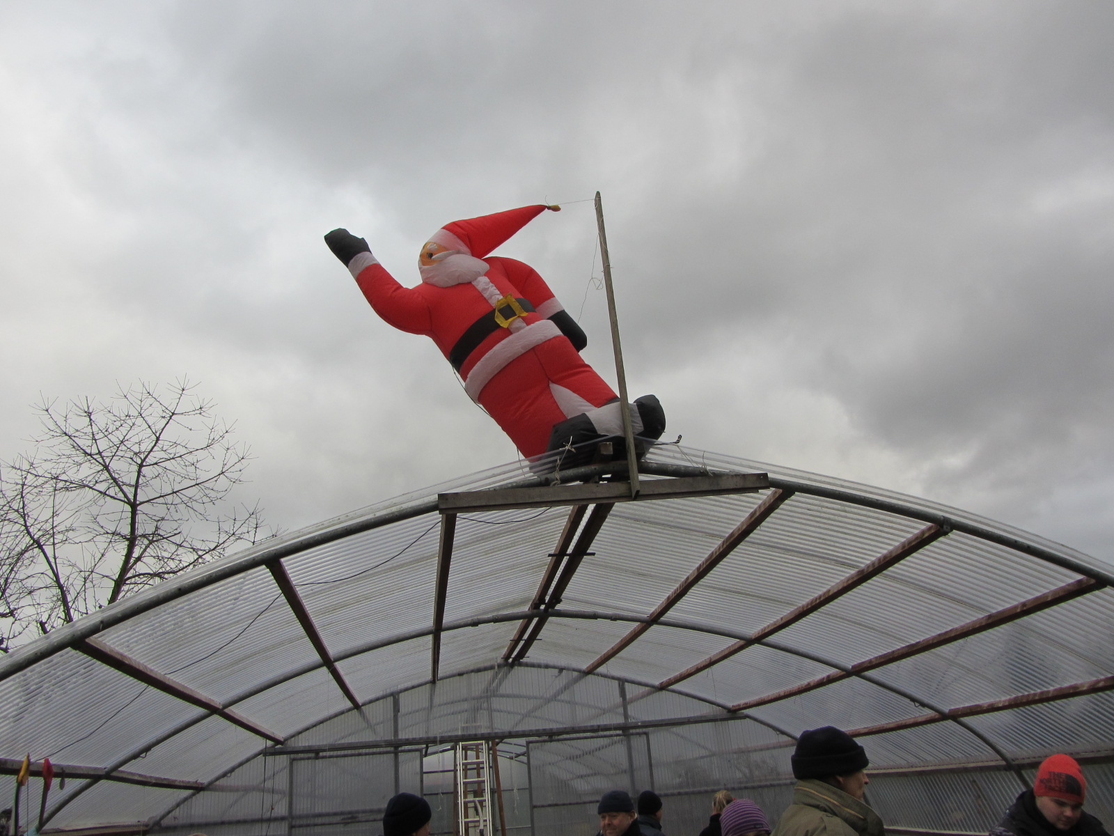 weihnachtsbaum schlagen 2015 016.jpg