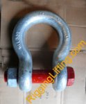 Forged-Shackle-Safety-Bolt_Anchor-Shackle-Bolt-Type-Forged-Alloy-high-tensile.jpg