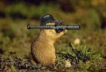 Ground Squirrel Bazooka.jpg