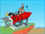 Wiley Coyote - Rocket.jpg