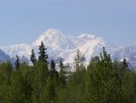 Mt McKinley Denali Peak.JPG