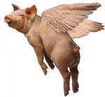 flying-pig.jpg