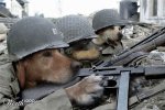 Dogg soldiers.jpg