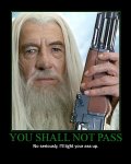 You%20shall%20not%20pass%20no%20seriously%20Ill%20light%20your%20ass%20up%20gandalf.jpg