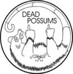Dead possum.jpg
