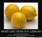 Life gives you lemons.jpg