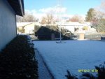 10 Feb 1 2016 Front yard day after snowfall.jpg