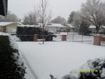 3 Jan 31 2016 Snowfall front yard.jpg