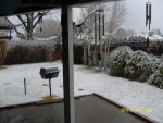 4 Jan 31 2016 Snowfall Back yard.jpg