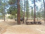 2017 Big Bear camp pictures 03.JPG