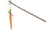 Carrot-On-Stick.jpg