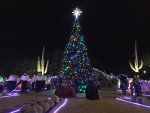 2019 Christmas tree Light Parade (2).jpg