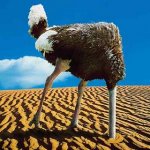 ostrich-head in sand.jpg