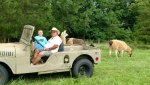 Jeep Bill Wyatt and llama.jpg