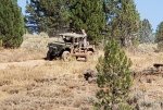 Trail Riding in the M1161.jpg