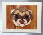 Ferret Head Intarsia Art 1d.jpeg