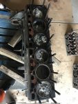 IMG_1324.jpeg