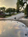 IMG_0803.jpeg