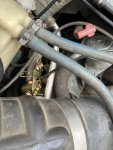 IMG_8184.jpeg