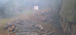 Oak Trees Cut 4c.jpeg