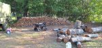 Oak Trees Cut 10b.jpeg