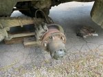 IMG_7149.jpeg