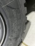 IMG_8349.jpeg