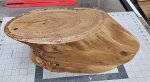 Branch Stand Art 1 Completed.jpeg