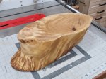 Branch Stand Art 1a Completed.jpeg