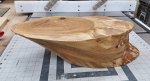Branch Stand Art 1c Completed.jpeg