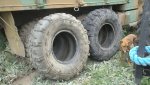 Deuce tires and hubs and hunting camp movies 08-09 012.jpg