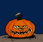 Cat pops up out of pumpkin.gif